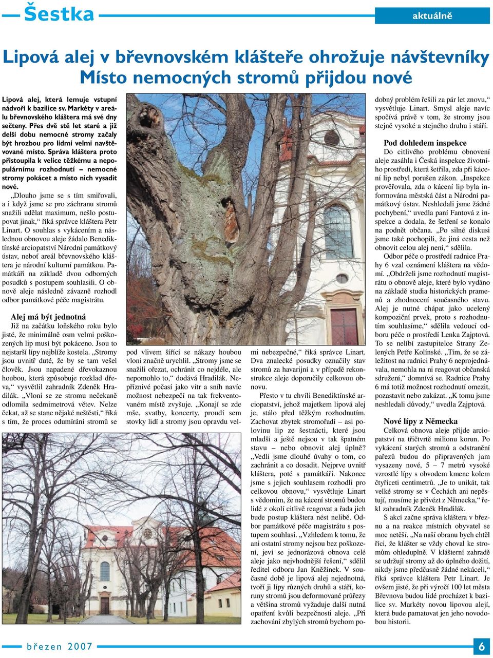 Správa kláštera proto přistoupila k velice těžkému a nepopulárnímu rozhodnutí nemocné stromy pokácet a místo nich vysadit nové.