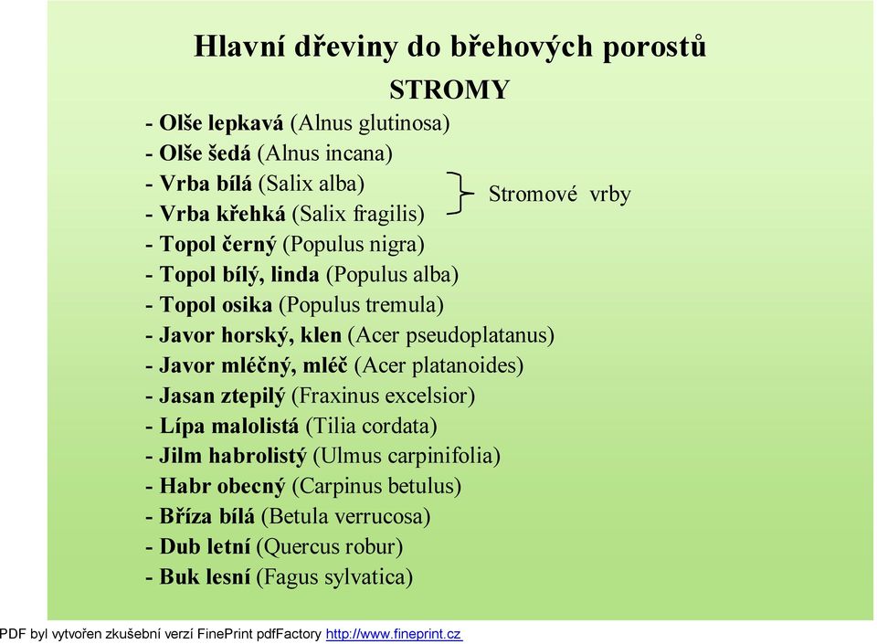 klen (Acer pseudoplatanus) - Javor mléčný, mléč (Acer platanoides) - Jasan ztepilý (Fraxinus excelsior) - Lípa malolistá (Tilia cordata) - Jilm