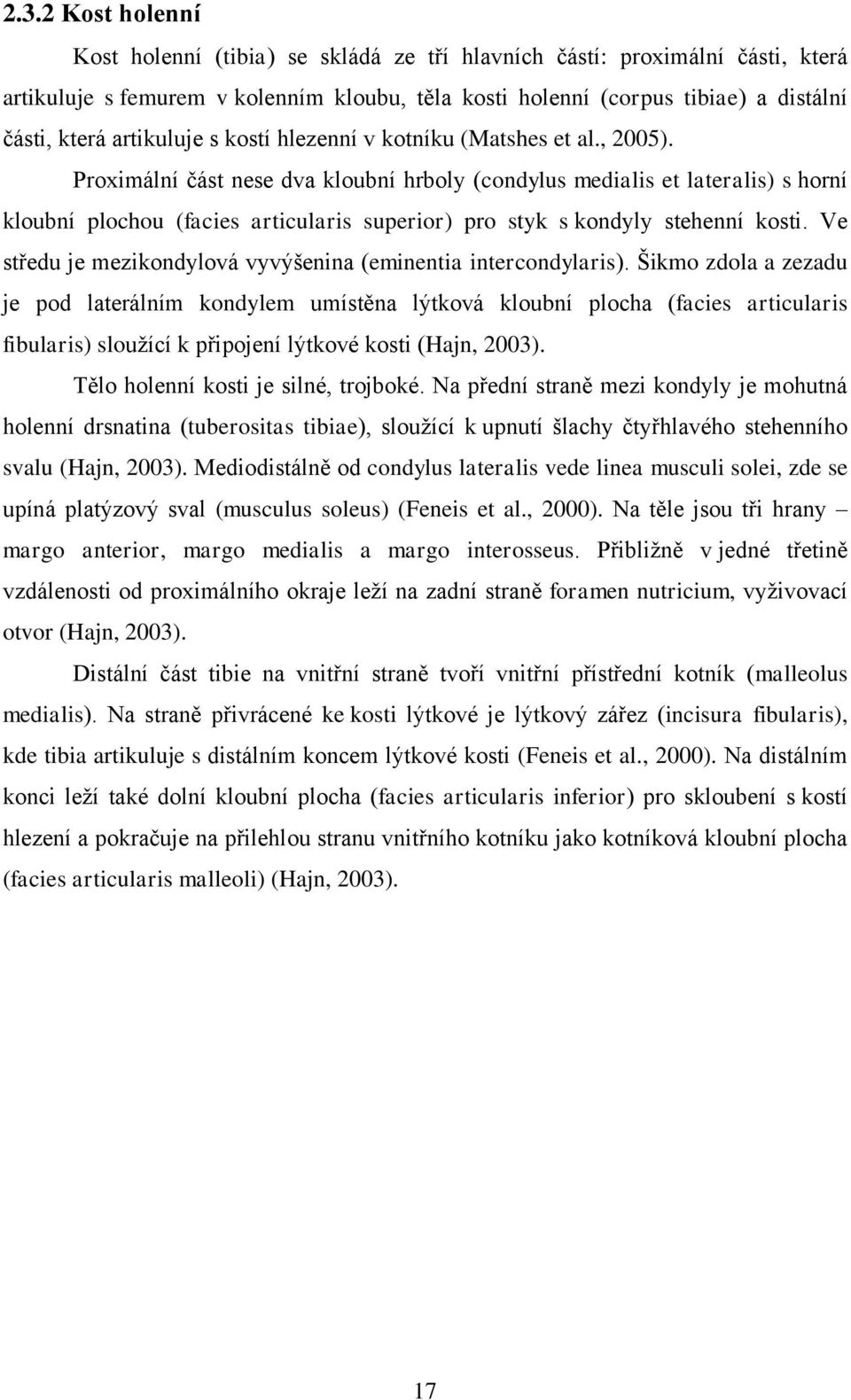 Proximální část nese dva kloubní hrboly (condylus medialis et lateralis) s horní kloubní plochou (facies articularis superior) pro styk s kondyly stehenní kosti.