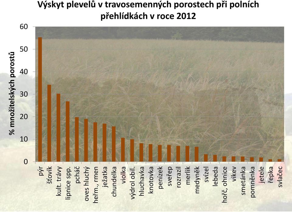 hluchavka knotovka penízek sveřep rozrazil merlik medyněk svízel lebeda hořč, ohnice