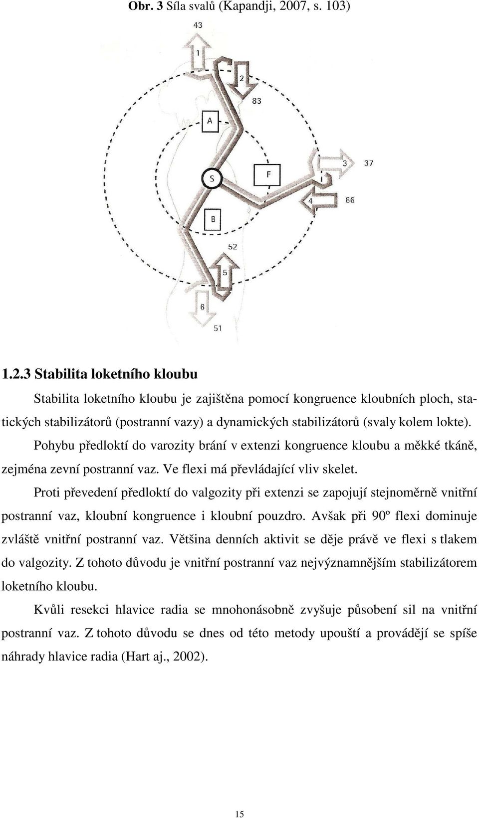 3 Stabilita loketního kloubu Stabilita loketního kloubu je zajištěna pomocí kongruence kloubních ploch, statických stabilizátorů (postranní vazy) a dynamických stabilizátorů (svaly kolem lokte).