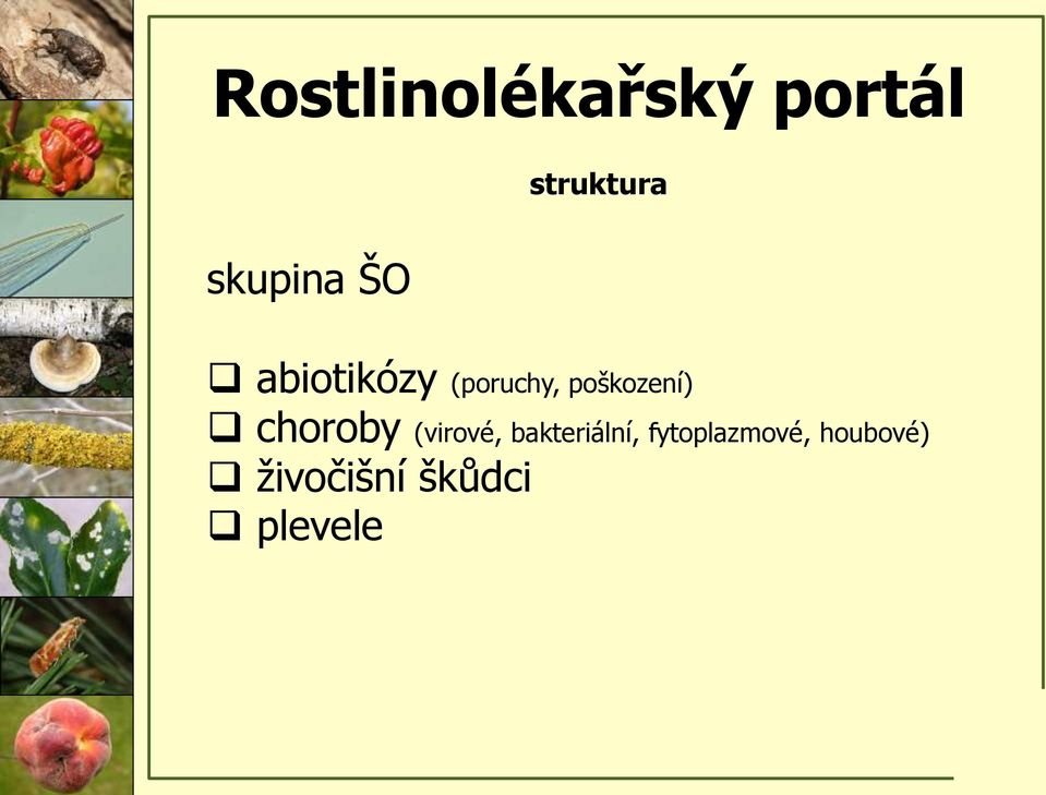 poškození) choroby (virové,