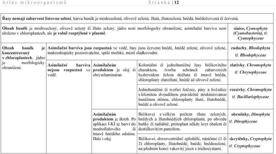 sinice, Cyanophyta (Cyanobacteria), tř. Cyanophyceae Obsah buněk je koncentrovaný v chloroplastech, jádro je morfologicky ohraničené.