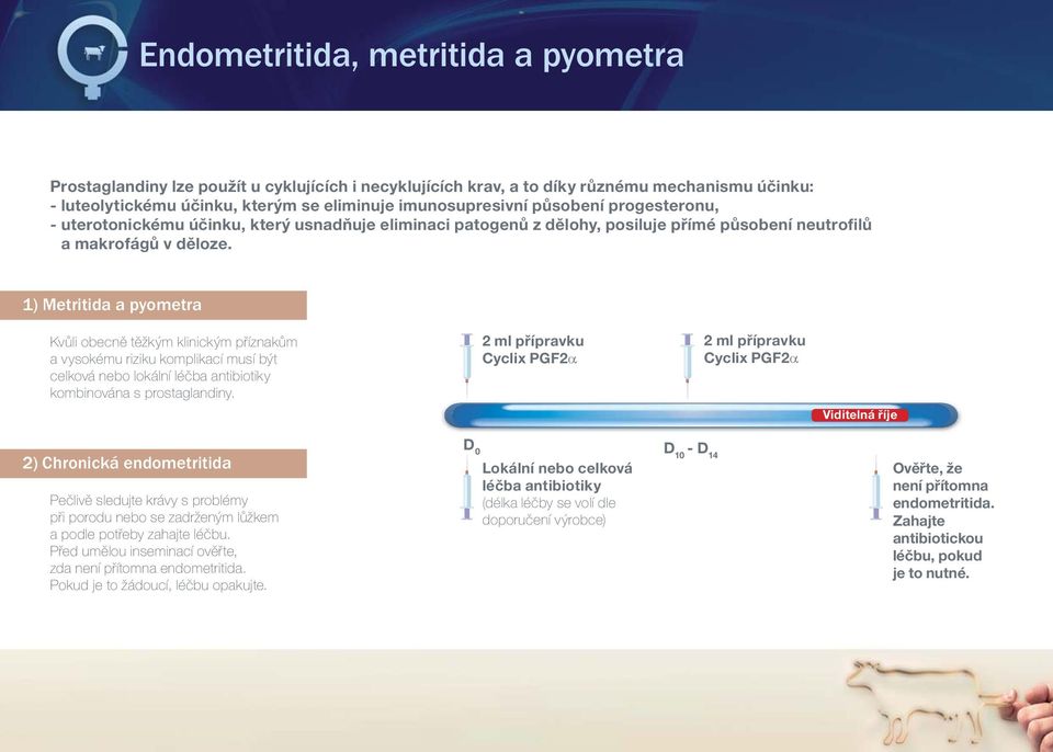 1) Metritida a pyometra Kvůli obecně těžkým klinickým příznakům a vysokému riziku komplikací musí být celková nebo lokální léčba antibiotiky kombinována s prostaglandiny.