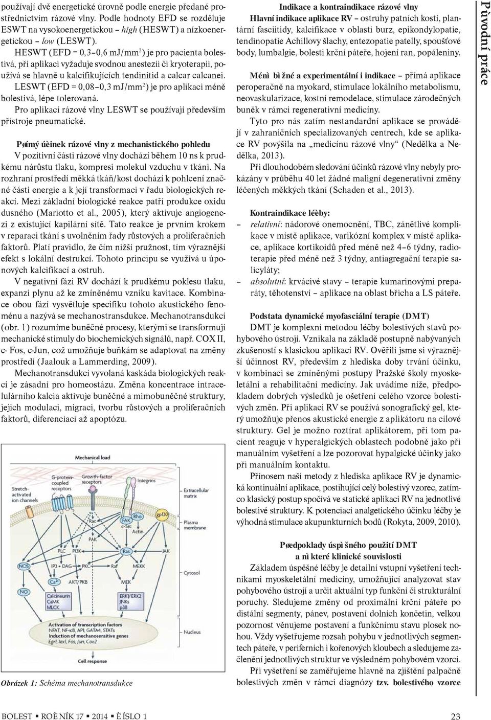 LESWT (EFD = 0,08 0,3 mj/mm 2 ) je pro aplikaci ménì bolestivá, lépe tolerovaná. Pro aplikaci rázové vlny LESWT se používají pøedevším pøístroje pneumatické.