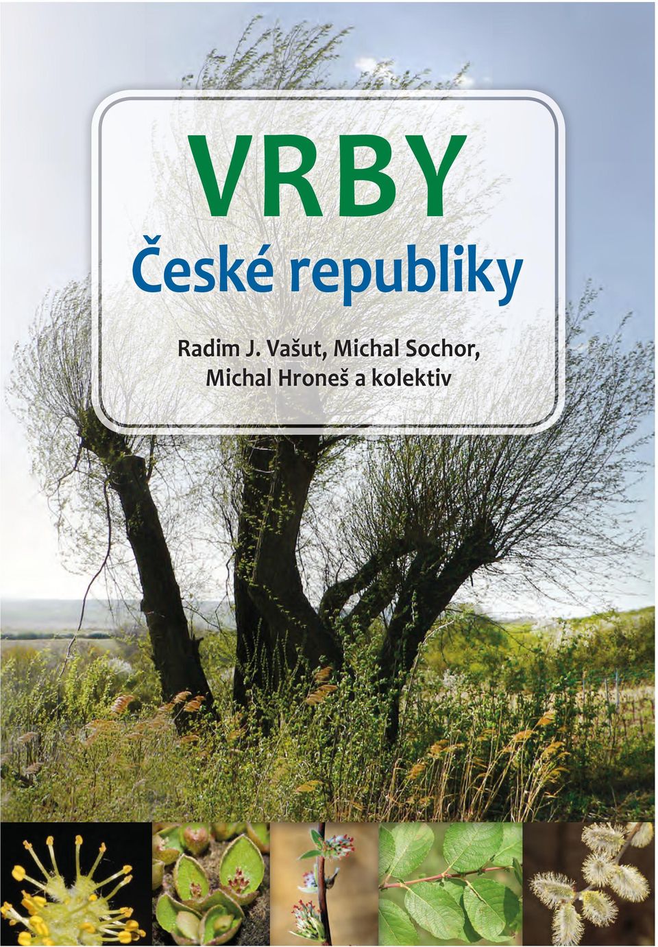 Kromě toho jsou vrby elegantní rostliny a některé druhy jsou odedávna pěstovány jako okrasné.