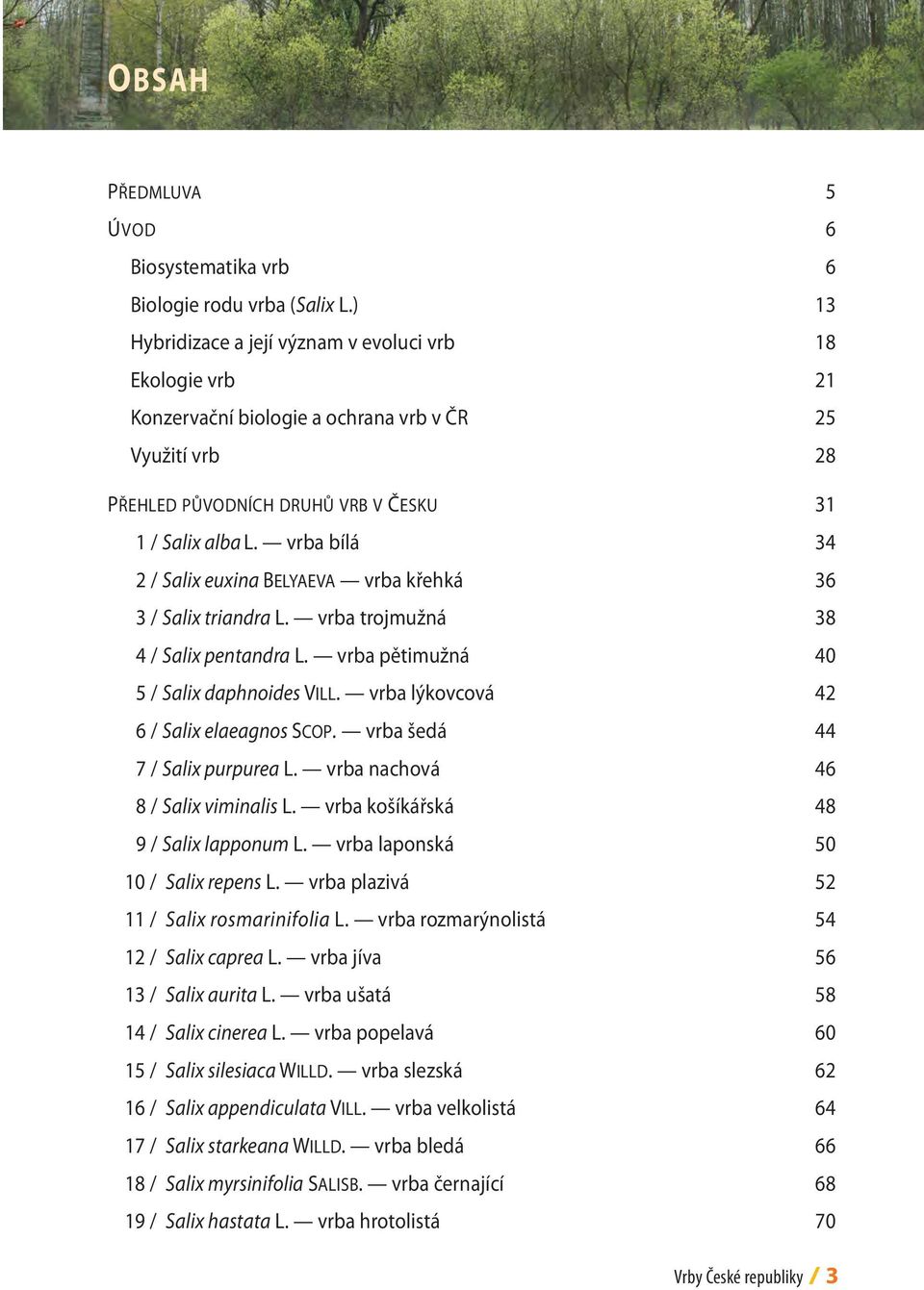 vrba bílá 34 2 / Salix euxina Belyaeva vrba křehká 36 3 / Salix triandra L. vrba trojmužná 38 4 / Salix pentandra L. vrba pětimužná 40 5 / Salix daphnoides Vill.