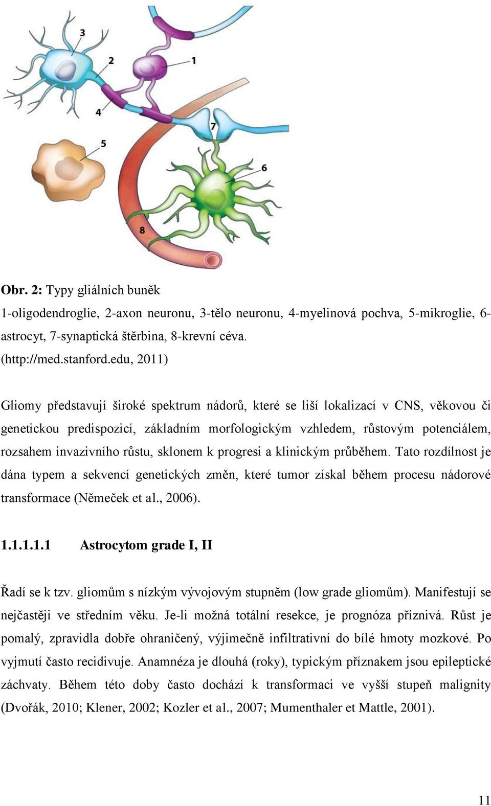 růstu, sklonem k progresi a klinickým průběhem. Tato rozdílnost je dána typem a sekvencí genetických změn, které tumor získal během procesu nádorové transformace (Němeček et al., 2006). 1.