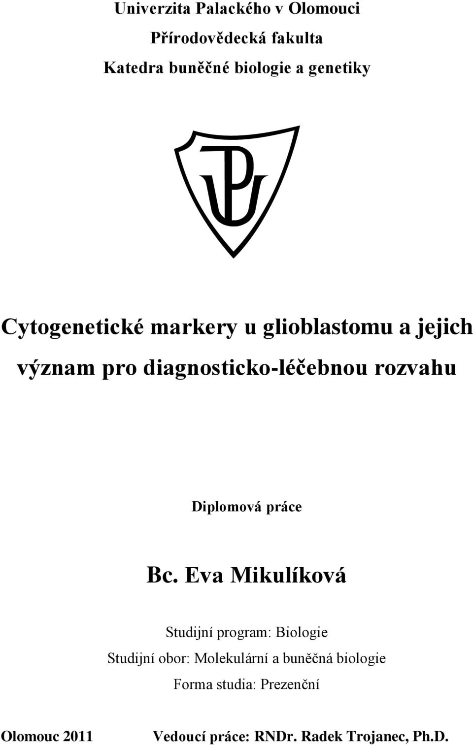 Diplomová práce Bc.