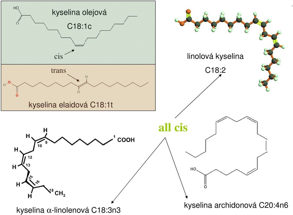 elaidová C18:1t all cis kyselina