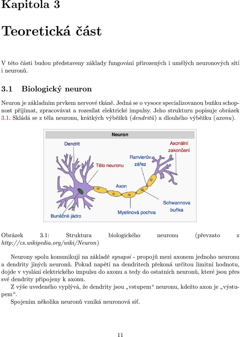 Skládá se z těla neuronu, krátkých výběžků (dendritů) a dlouhého výběžku (axonu). Obrázek 3.1: Struktura biologického neuronu (převzato z http://cs.wikipedia.