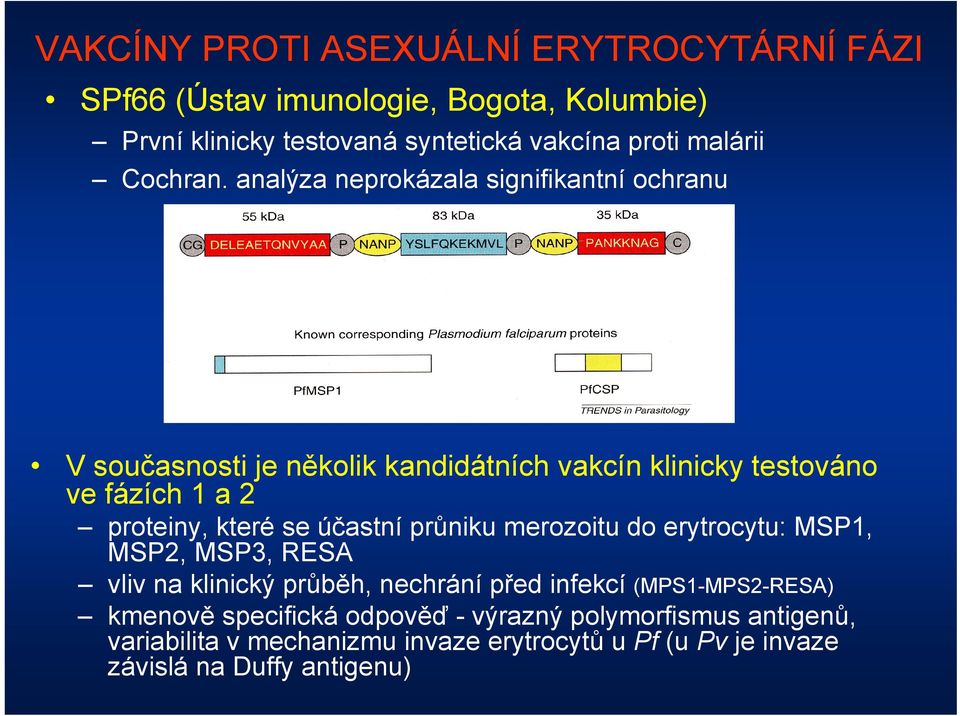 analýza neprokázala signifikantní ochranu V současnosti je několik kandidátních vakcín klinicky testováno ve fázích 1 a 2 proteiny, které se