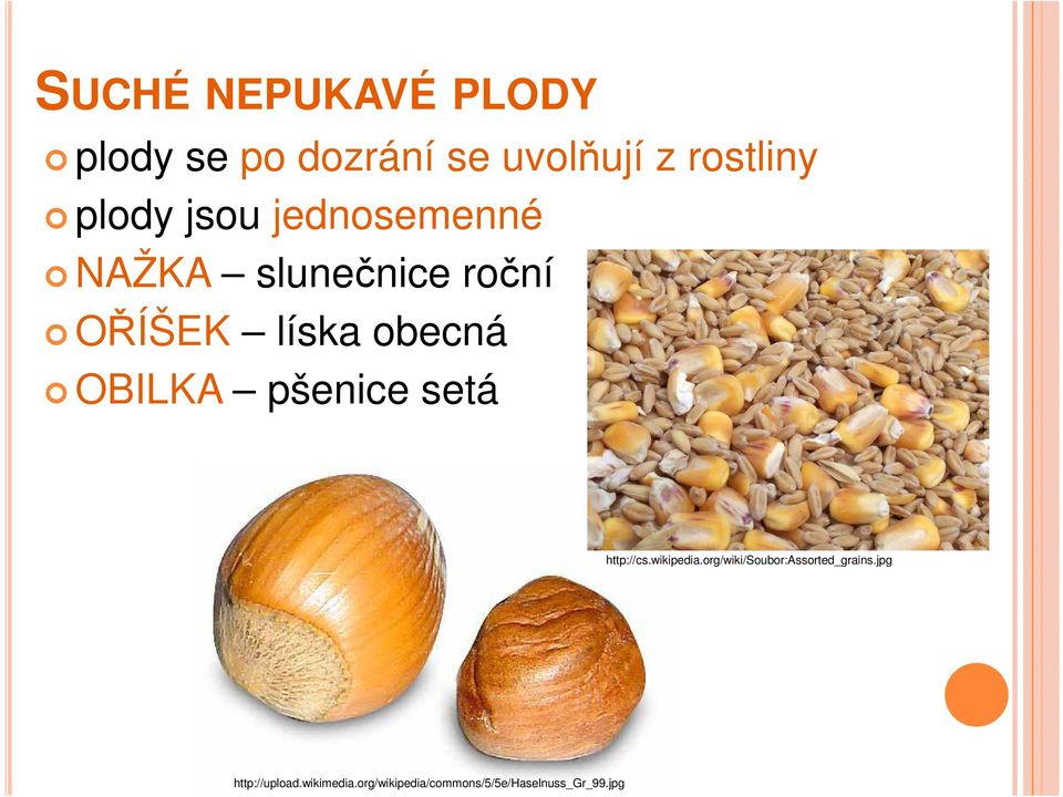 pšenice setá http://cs.wikipedia.org/wiki/soubor:assorted_grains.