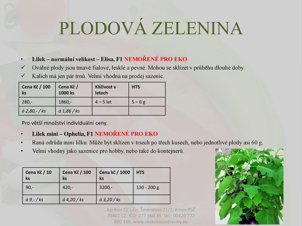 100 1000 280,- 1860,- 4 5 let 5 6 g á 2,80,- / á 1,86 / Lilek mini Ophelia, F1 NEMOŘENÉ PRO EKO Raná odrůda mini lilku.