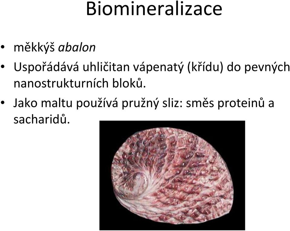 pevných nanostrukturních bloků.