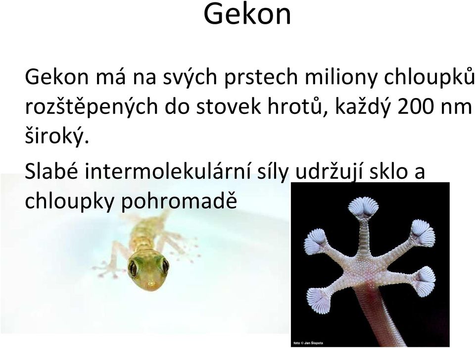 každý 200 nm široký.