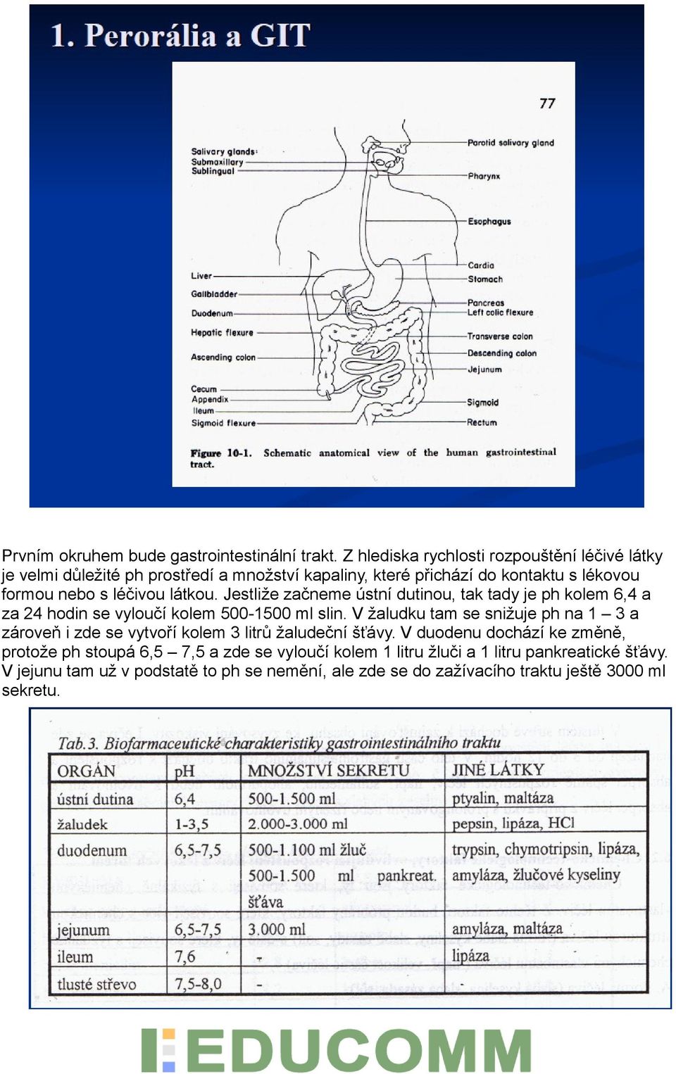 látkou. Jestliže začneme ústní dutinou, tak tady je ph kolem 6,4 a za 24 hodin se vyloučí kolem 500-1500 ml slin.