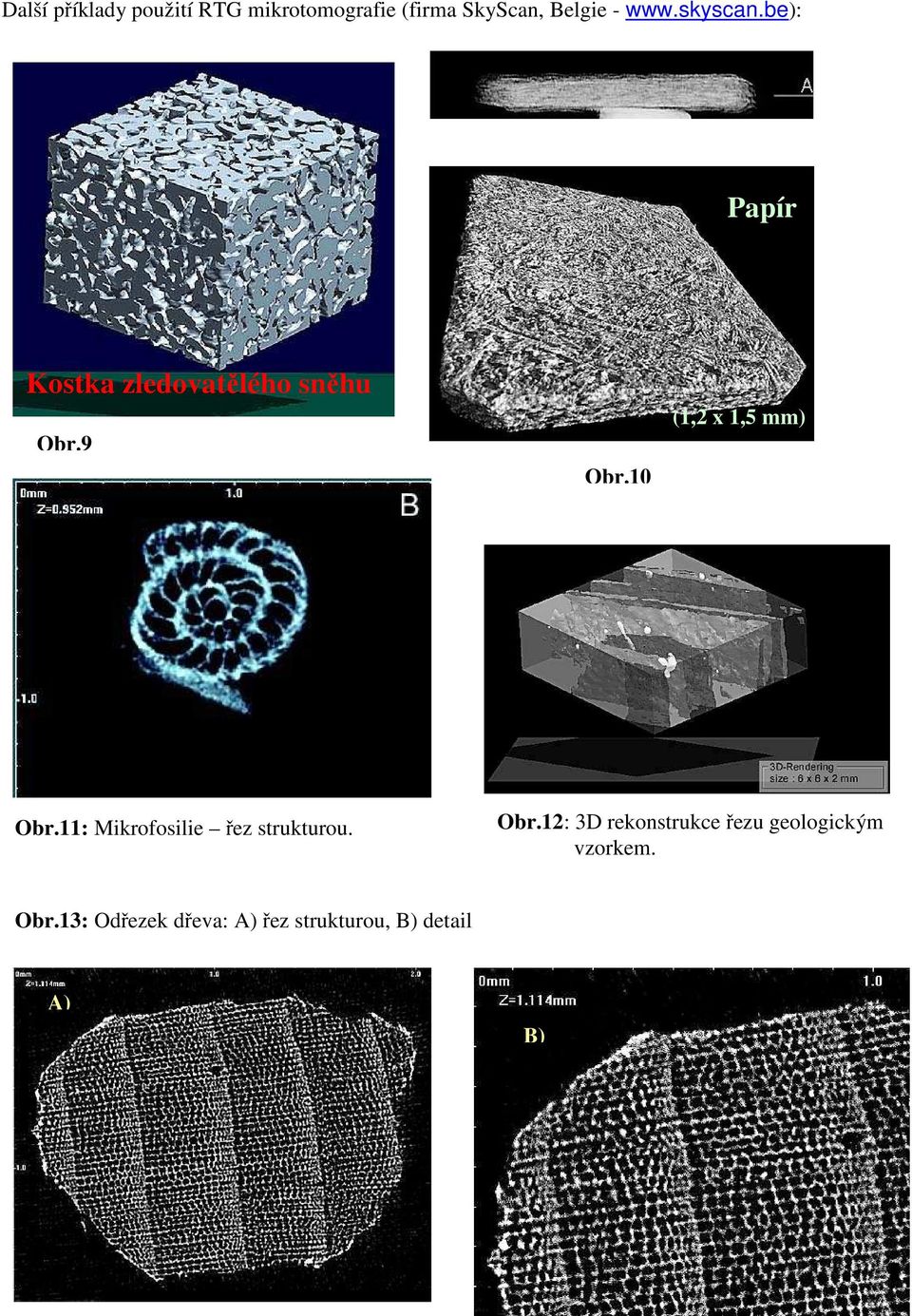 10 (1,2 x 1,5 mm) Obr.11: Mikrofosilie řez strukturou. Obr.12: 3D rekonstrukce řezu geologickým vzorkem.