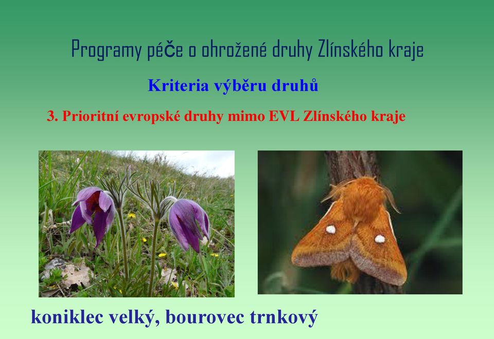 3. Prioritní evropské druhy mimo EVL