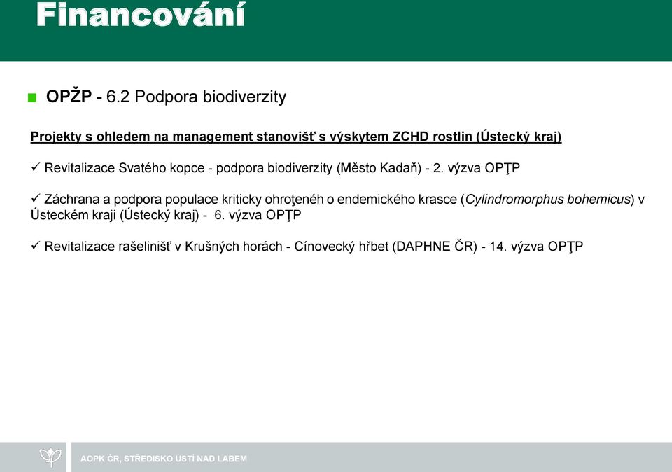 Revitalizace Svatého kopce - podpora biodiverzity (Město Kadaň) - 2.