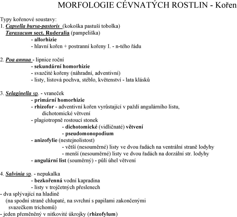 - vraneček - primární homorhizie - rhizofor - adventivní kořen vyrůstající v paždí angulárního listu, dichotomické větvení - plagiotropně rostoucí stonek - dichotomické (vidličnaté) větvení -