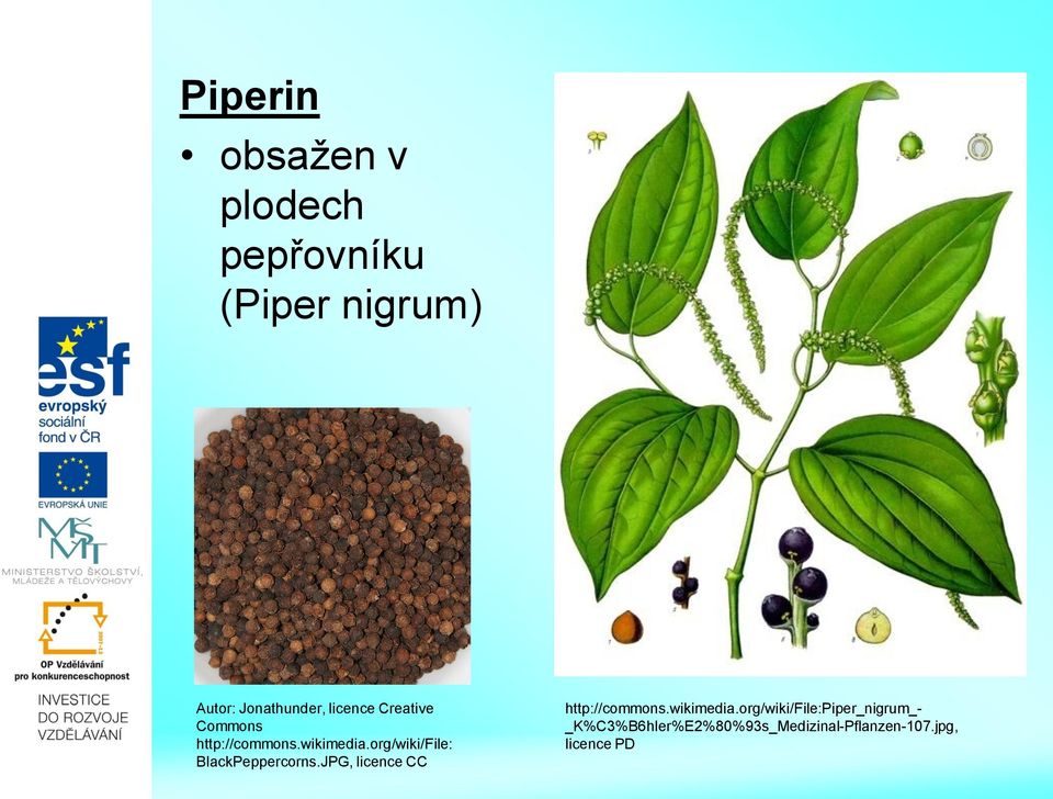 org/wiki/file: BlackPeppercorns.JPG, licence CC http://commons.