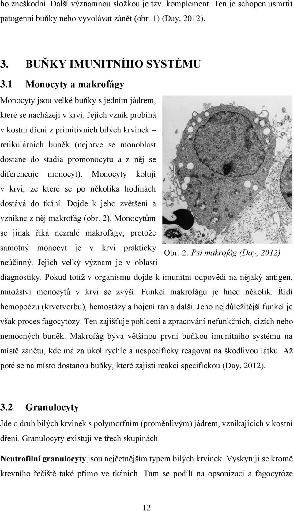 Jejich vznik probíhá v kostní dřeni z primitivních bílých krvinek retikulárních buněk (nejprve se monoblast dostane do stadia promonocytu a z něj se diferencuje monocyt).