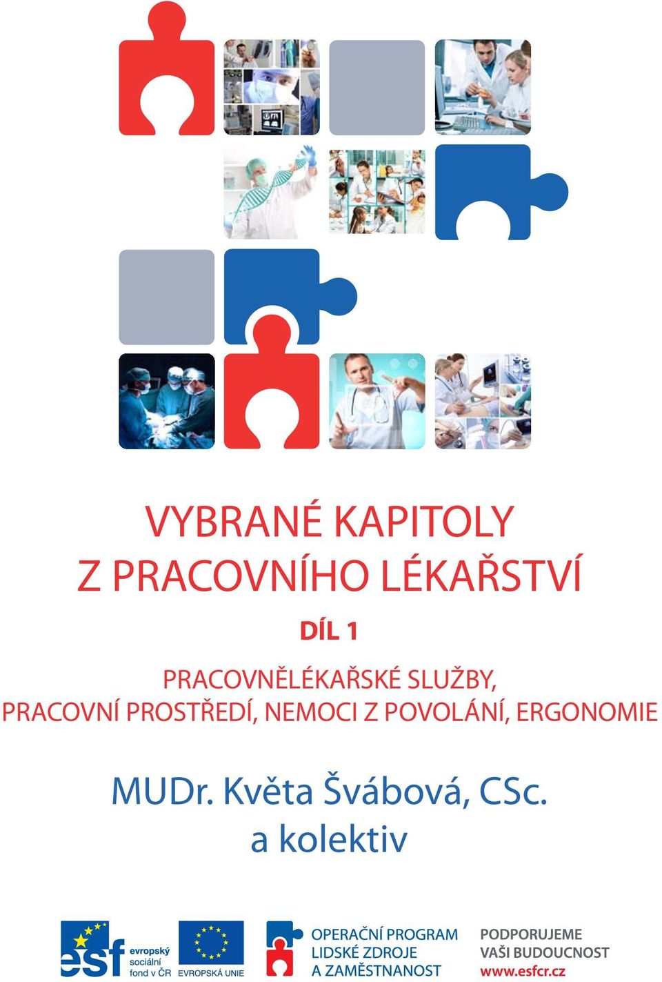 SLUŽBY, PRACOVNÍ PROSTŘEDÍ, NEMOCI Z