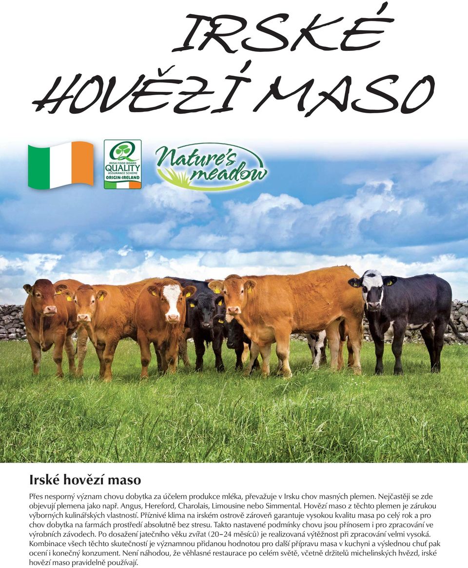 Příznivé klima na irském ostrově zároveň garantuje vysokou kvalitu masa po celý rok a pro chov dobytka na farmách prostředí absolutně bez stresu.