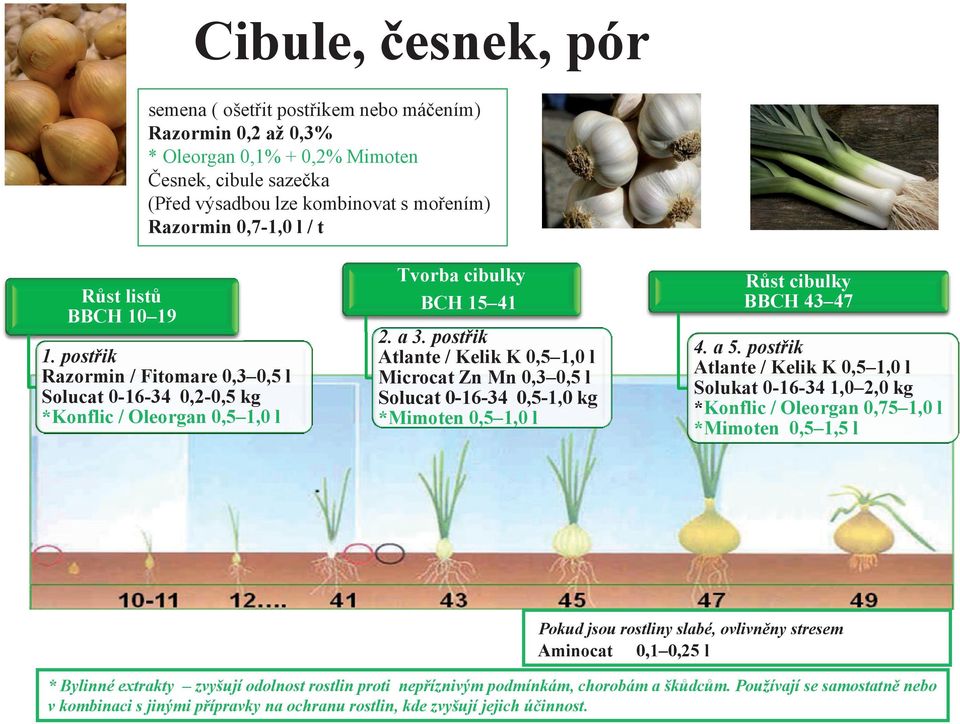 postřik Razormin / Fitomare 0,3 0,5 l Solucat 0-16-34 0,2-0,5 kg *Konflic / Oleorgan 0,5 1,0 l Tvorba cibulky BCH 15 41 2. a 3.