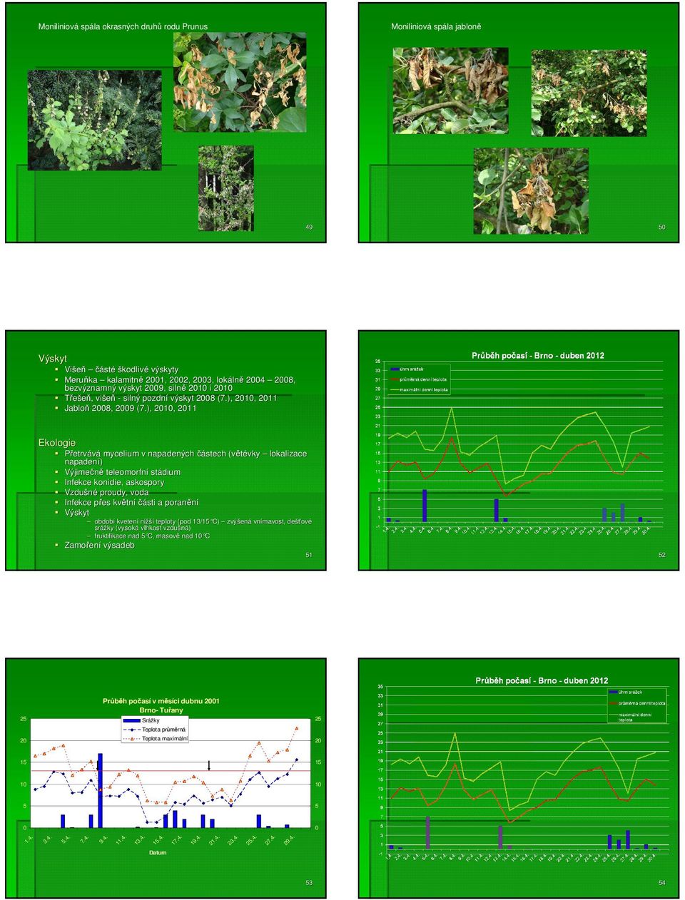 ), 2010, 2011 Přetrvává mycelium v napadených částech (větévky vky lokalizace napad) Výjimečně teleomorfní stádium Infekce konidie, askospory Vzdušné prou, voda Infekce přes p květn tníčásti a
