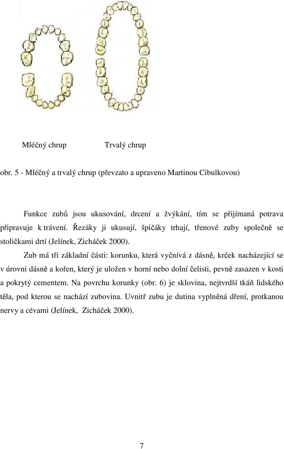 Řezáky ji ukusují, špičáky trhají, třenové zuby společně se stoličkami drtí (Jelínek, Zicháček 2000).
