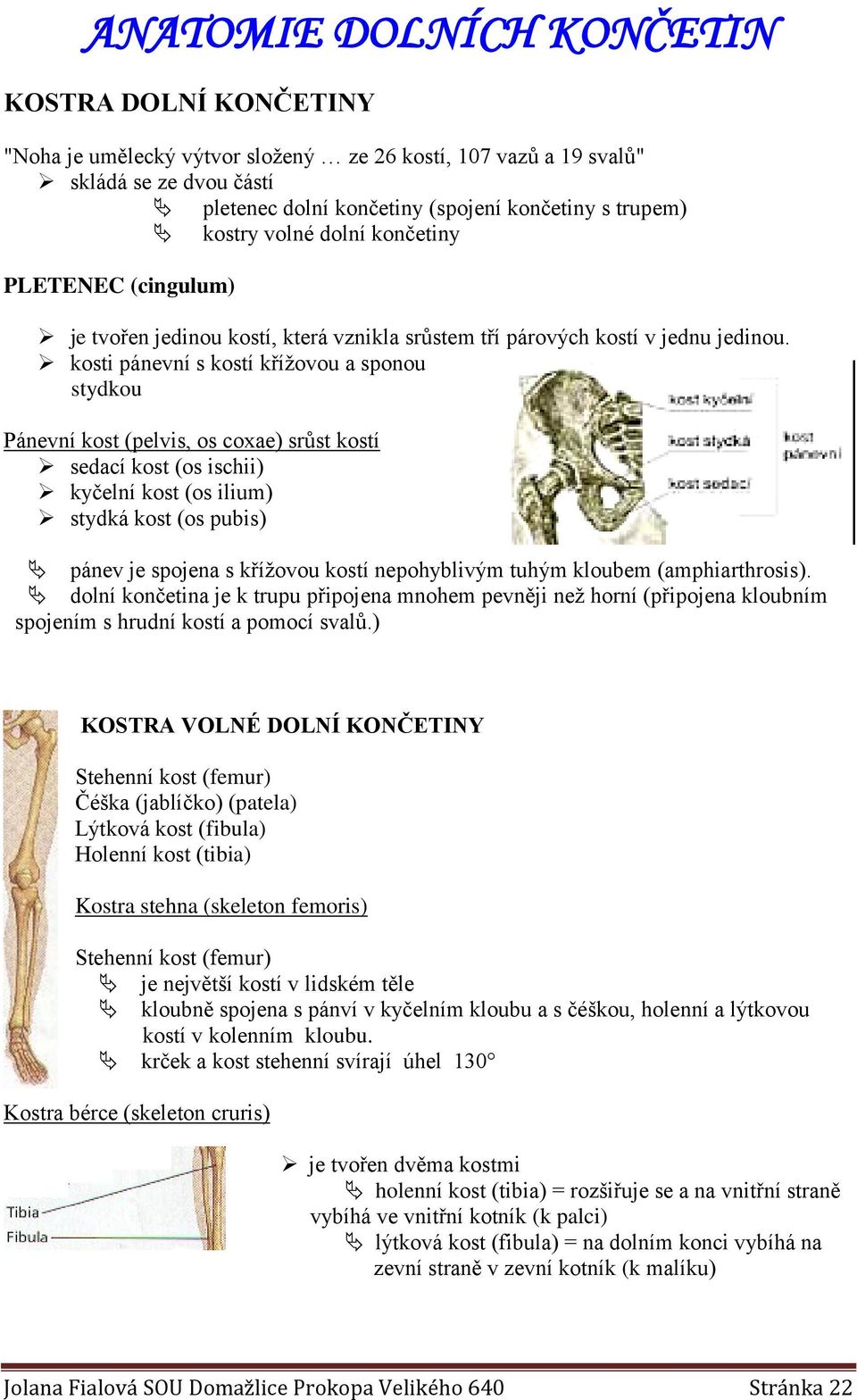 ANATOMIE DOLNÍCH KONČETIN - PDF Free Download