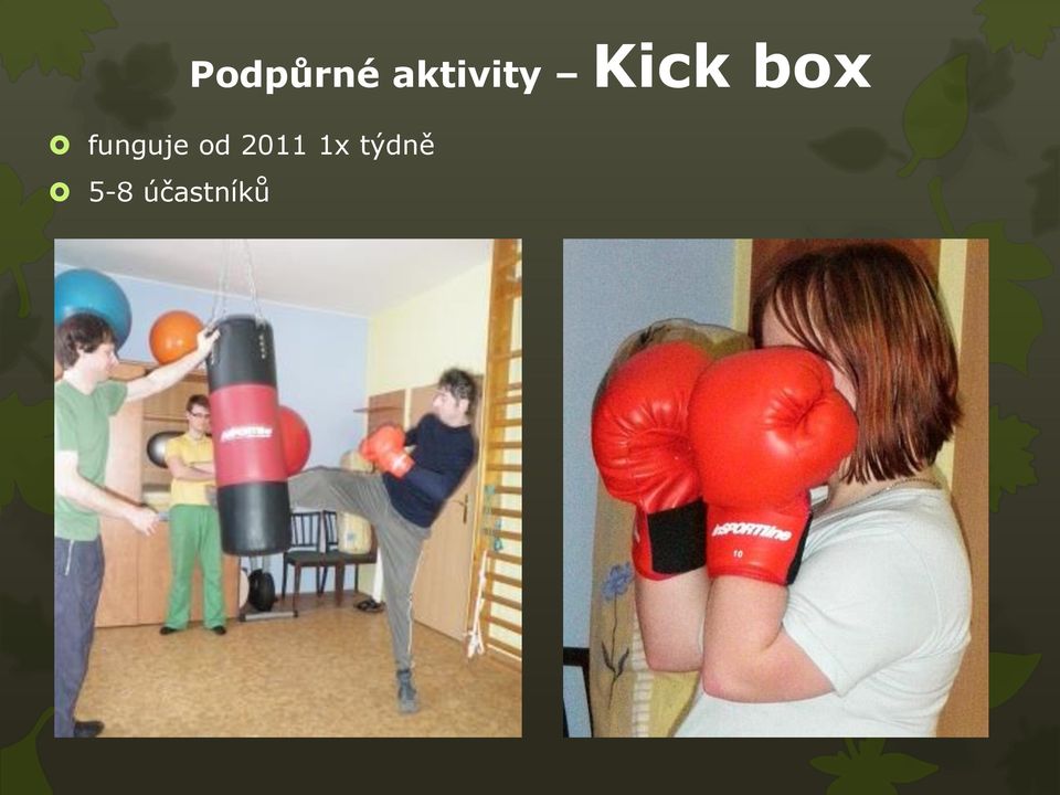box funguje od