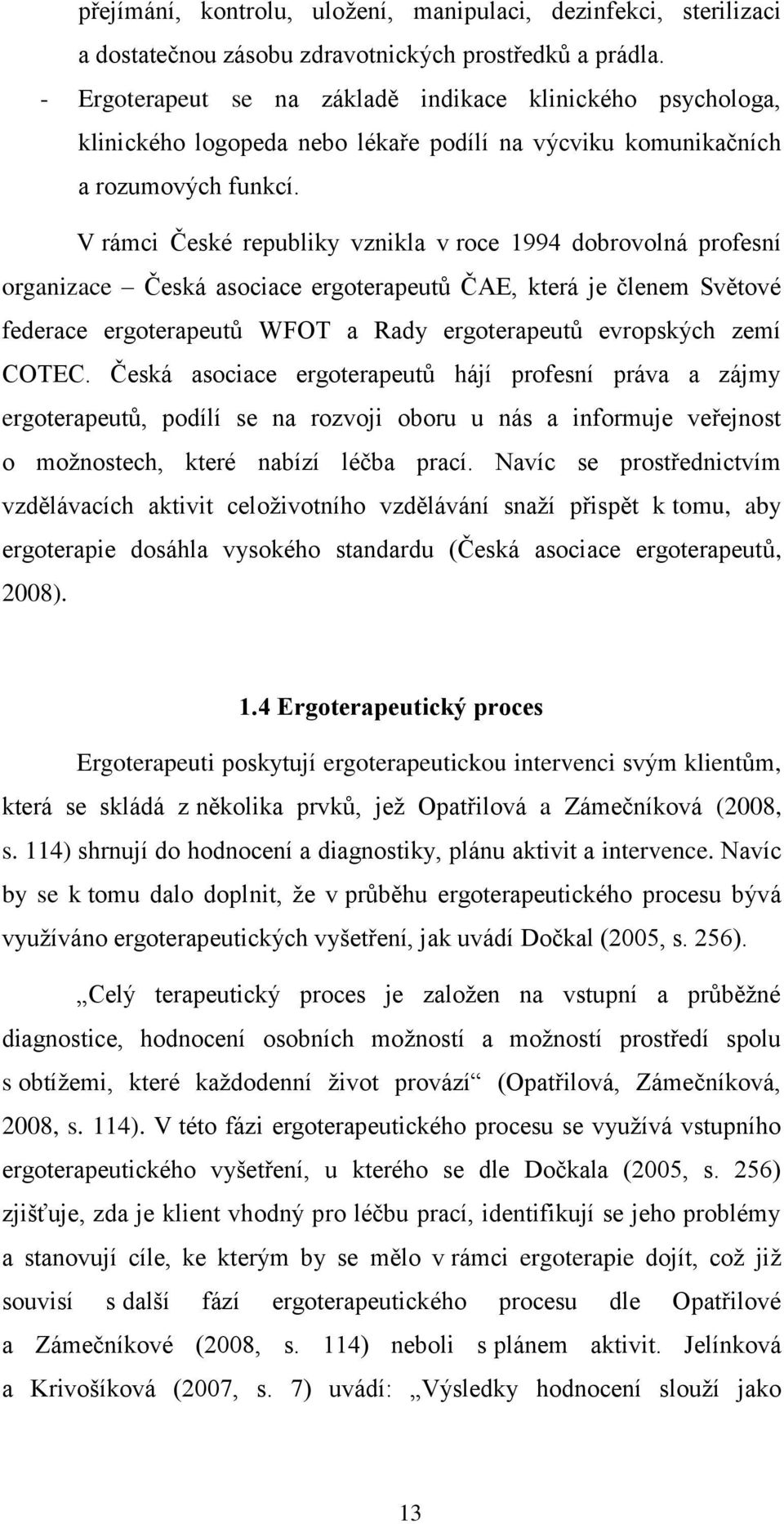 V rámci České republiky vznikla v roce 1994 dobrovolná profesní organizace Česká asociace ergoterapeutů ČAE, která je členem Světové federace ergoterapeutů WFOT a Rady ergoterapeutů evropských zemí