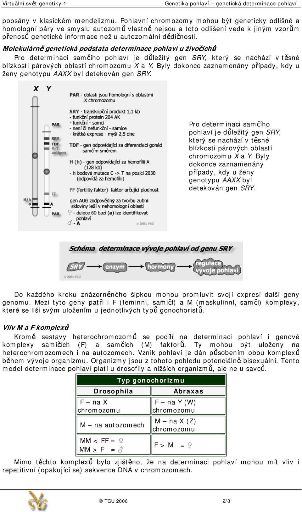 Molekulárně genetická podstata determinace pohlaví u živočichů Pro determinaci samčího pohlaví je důležitý gen SRY, který se nachází v těsné blízkosti párových oblastí chromozomu X a Y.