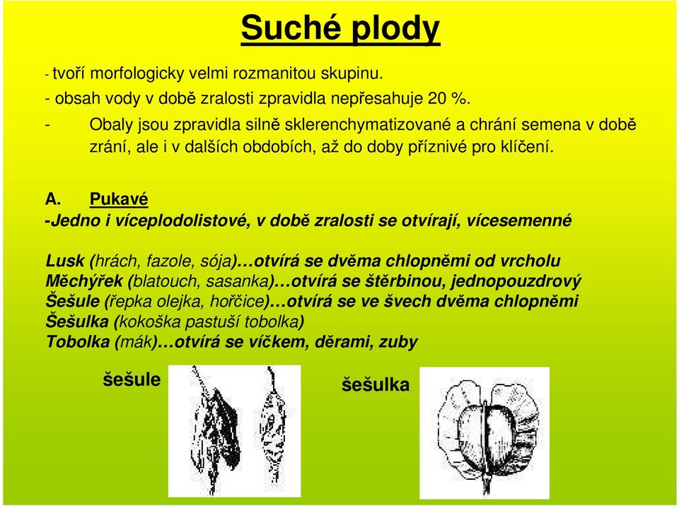 Pukavé -Jedno i víceplodolistové, v době zralosti se otvírají, vícesemenné Lusk (hrách, fazole, sója) otvírá se dvěma chlopněmi od vrcholu Měchýřek