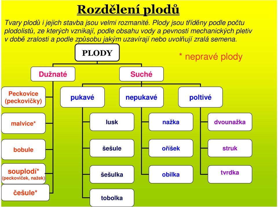 době zralosti a podle způsobu jakým uzavírají nebo uvolňují zralá semena.