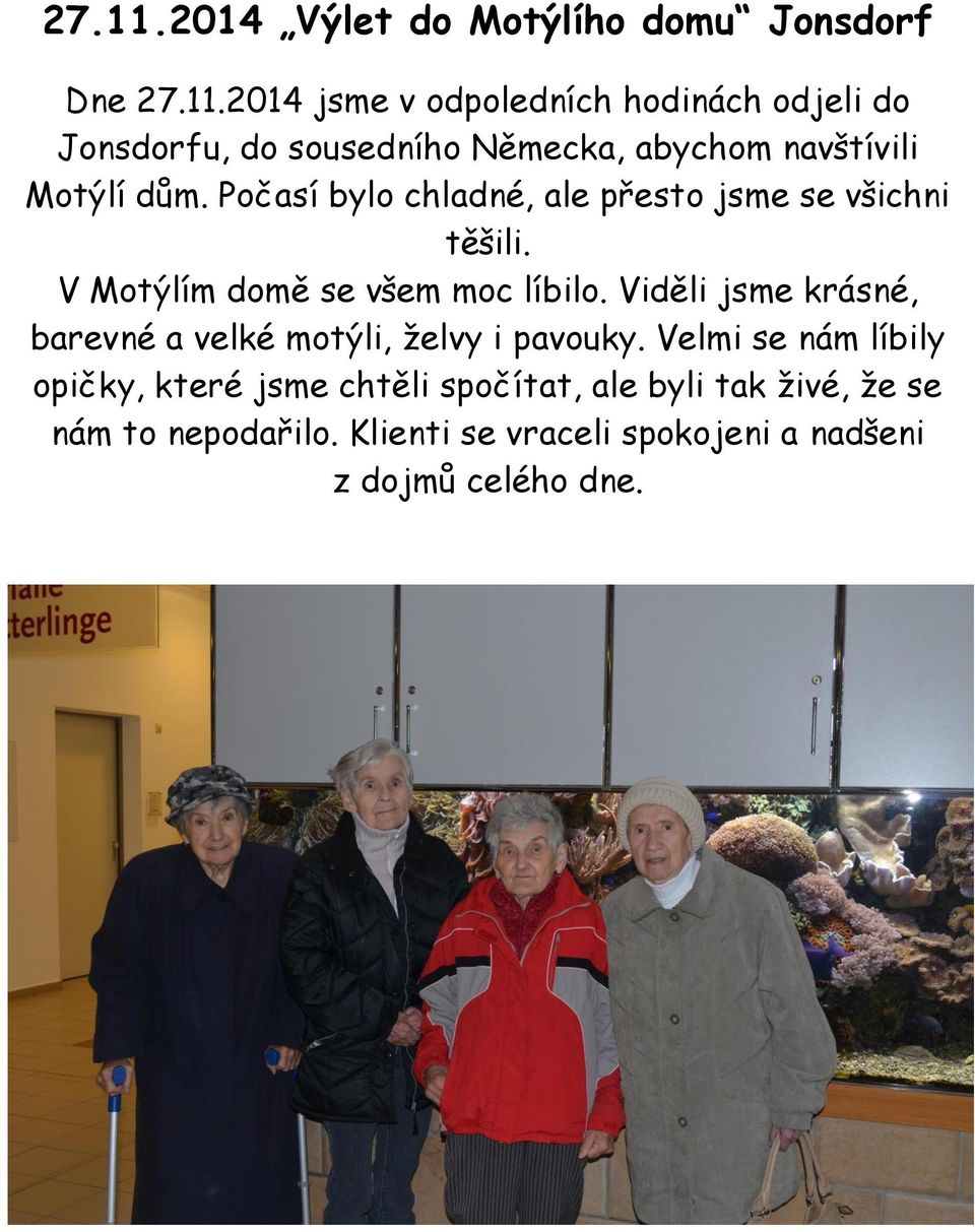 Viděli jsme krásné, barevné a velké motýli, želvy i pavouky.