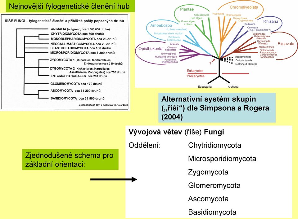 Zjednodušené schema pro základní orientaci: Oddělení: