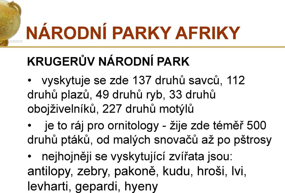 téměř 500 druhů ptáků, od malých snovačů až po pštrosy nejhojněji se vyskytující