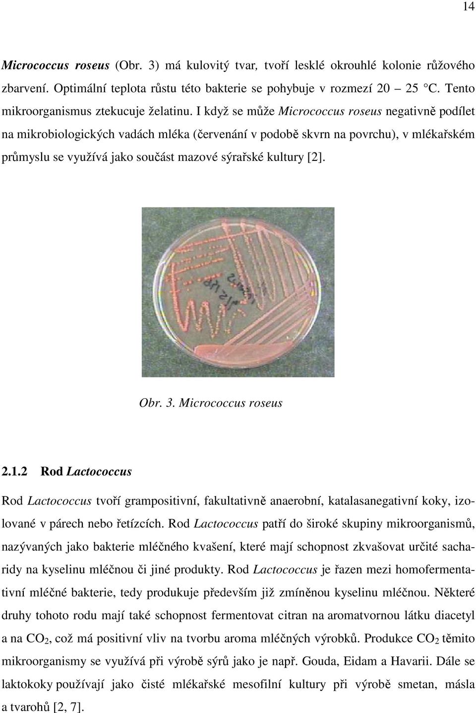 I když se může Micrococcus roseus negativně podílet na mikrobiologických vadách mléka (červenání v podobě skvrn na povrchu), v mlékařském průmyslu se využívá jako součást mazové sýrařské kultury [2].