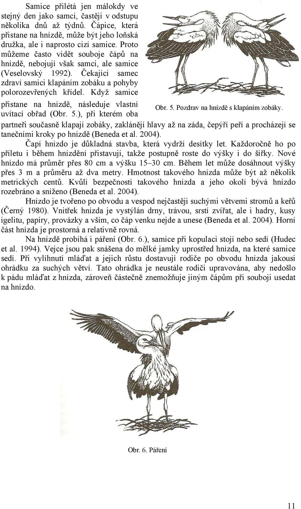 Když samice přistane na hnízdě, následuje vlastní Obr. 5.