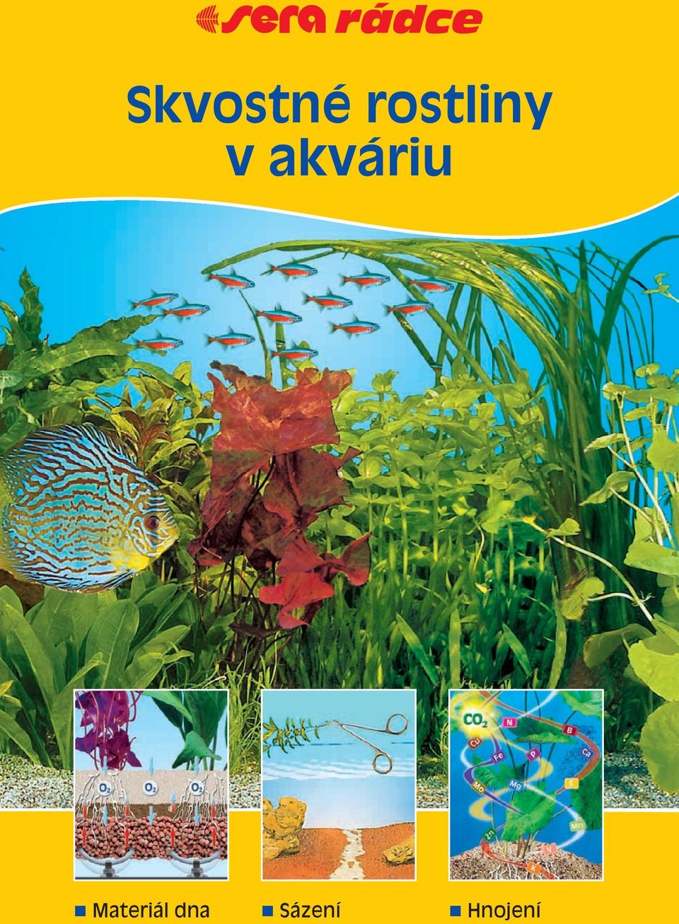 akváriu n