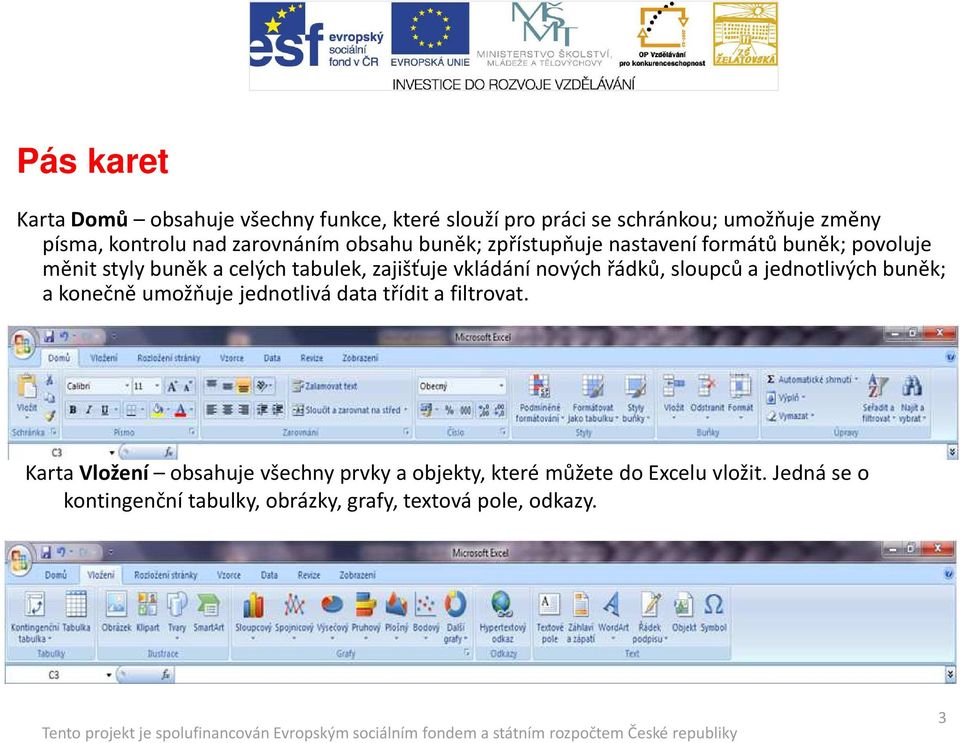 nových řádků, sloupců a jednotlivých buněk; a konečně umožňuje jednotlivá data třídit a filtrovat.