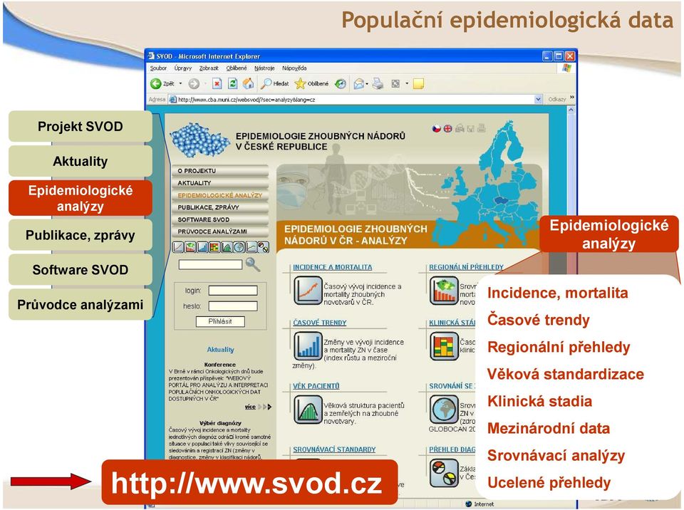 cz Epidemiologické analýzy Incidence, mortalita Časové trendy Regionální