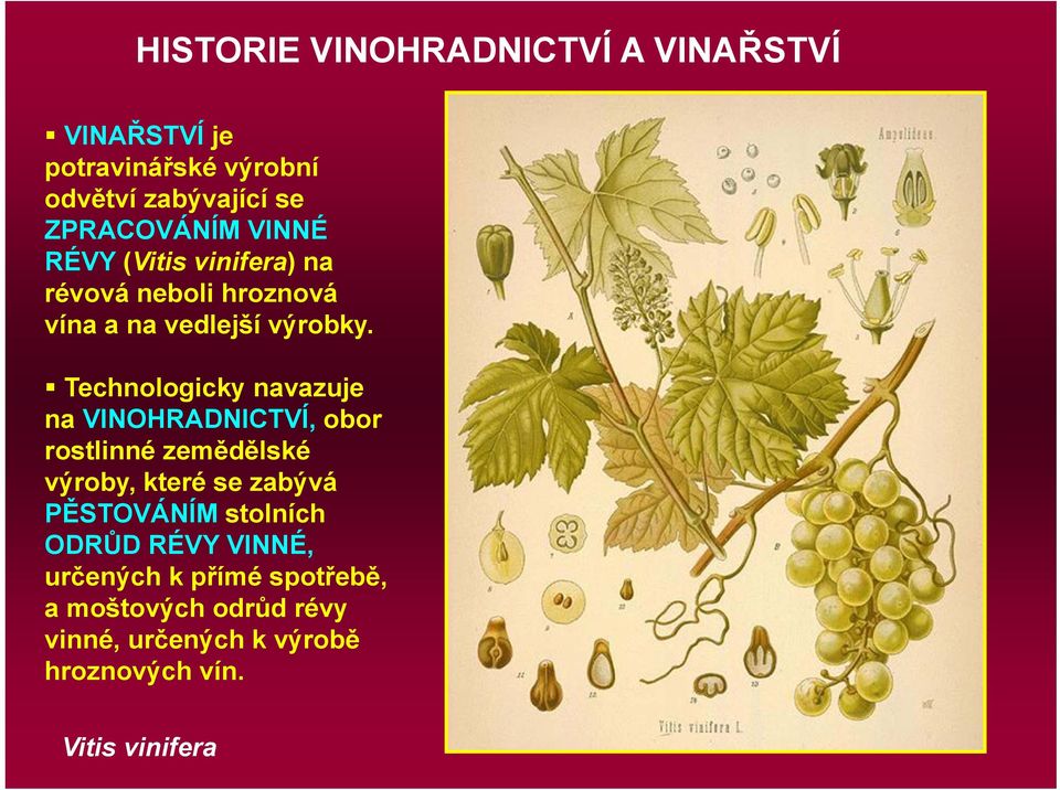 Technologicky navazuje na VINOHRADNICTVÍ, obor rostlinné zemědělské výroby, které se zabývá PĚSTOVÁNÍM