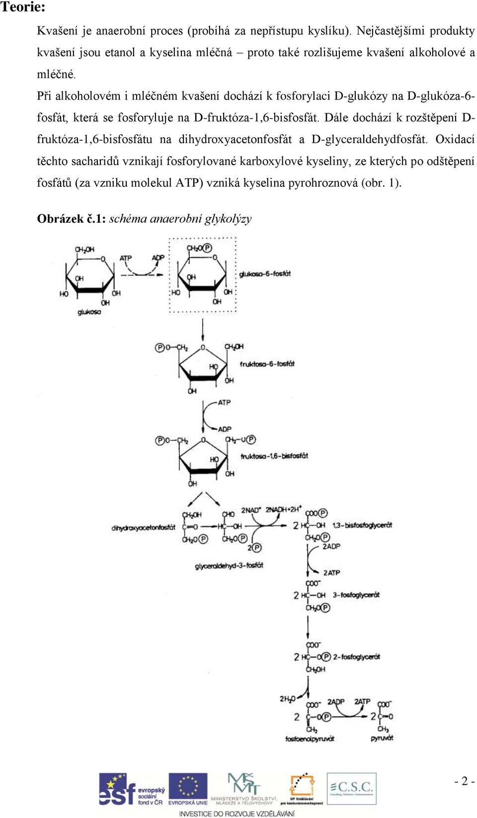 Při alkoholovém i mléčném kvašení dochází k fosforylaci D-glukózy na D-glukóza-6- fosfát, která se fosforyluje na D-fruktóza-1,6-bisfosfát.