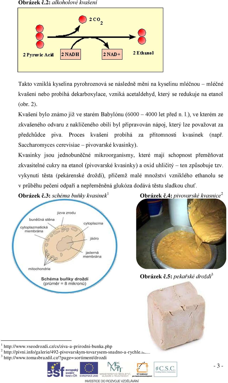 Kvašení bylo známo již ve starém Babylónu (6000 4000 let před n. l.), ve kterém ze zkvašeného odvaru z naklíčeného obilí byl připravován nápoj, který lze považovat za předchůdce piva.