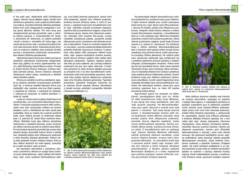 kozí noha (Aegopodium podagraria) a sveřep jalový (Bromus sterilis). Pro lesní lemy jsou charakteristické porosty ostružiníků, např. o. ježiníku (Rubus caesius), o. tmavozeleného (R. clusii), o.
